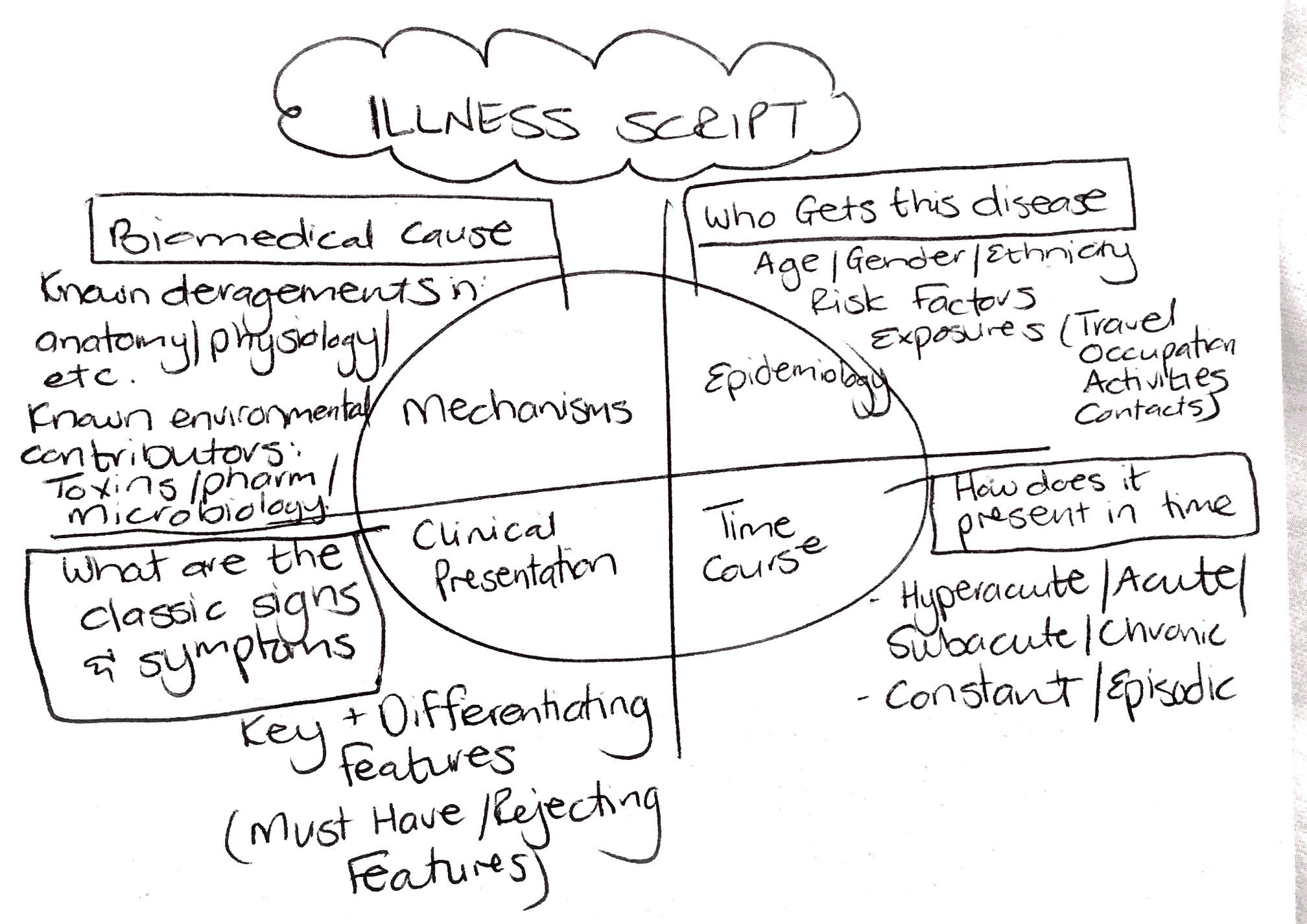 illness-script