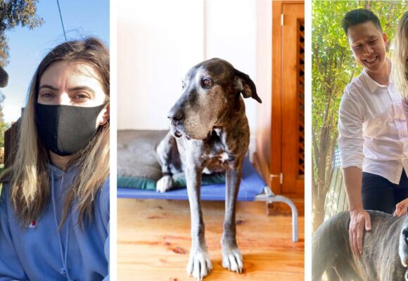 Dr Bec Loveridge with her husband Nick...and Frank the dog.