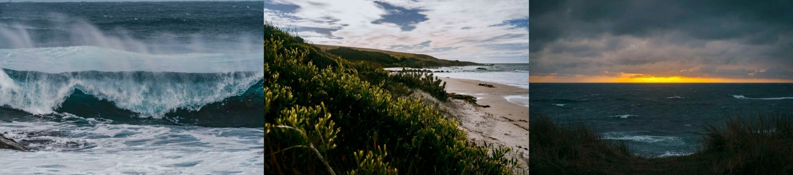 The rugged King Island coastline (photos by Rod Long on Unsplash).